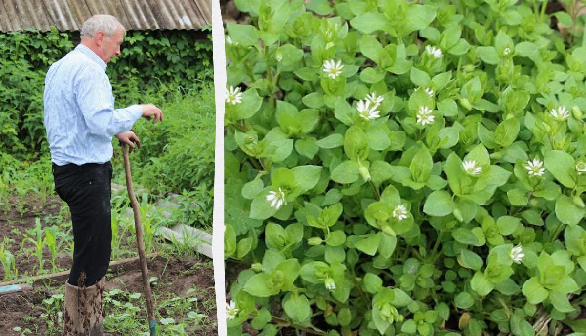 Фото новини