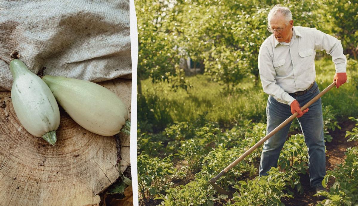 Фото новини