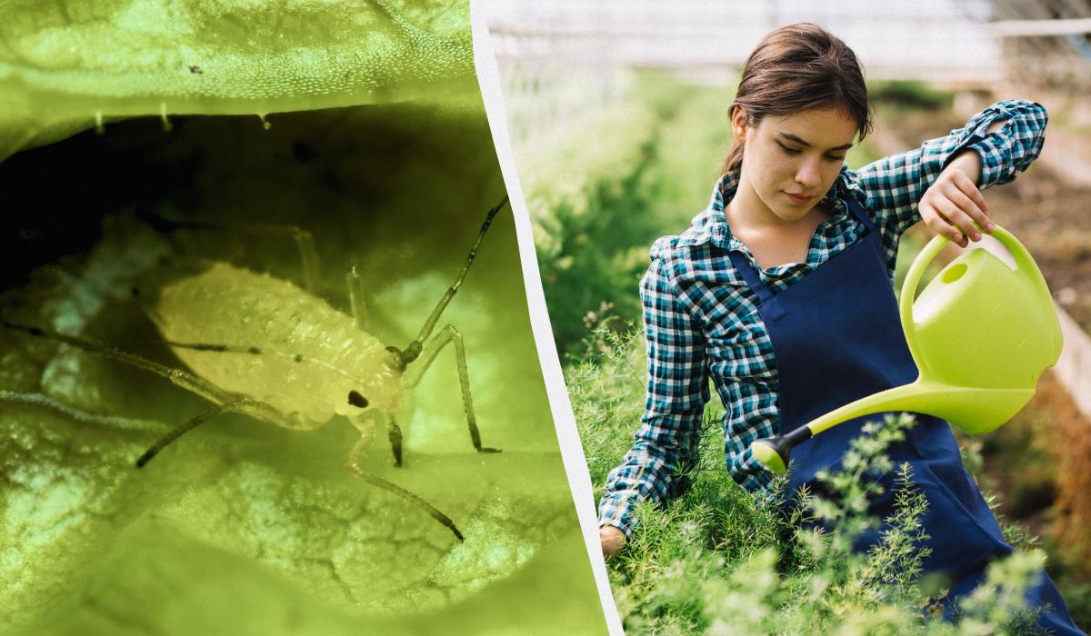 Фото новини