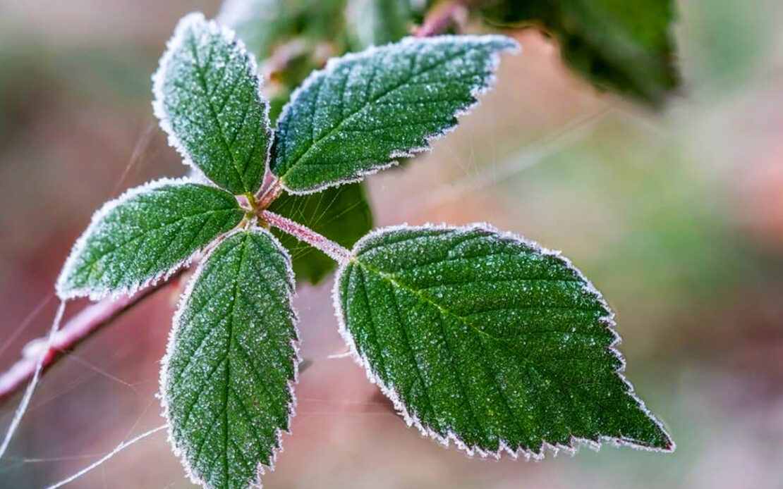 Фото новини