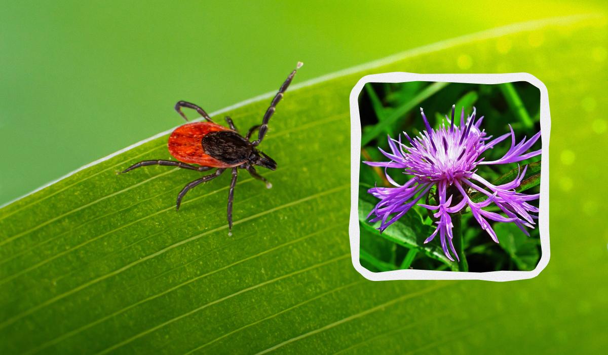 Фото новини