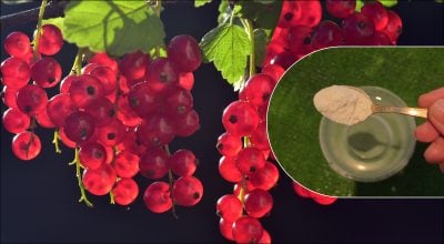 Фото новини