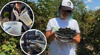 Фото новини