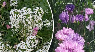 Фото новини