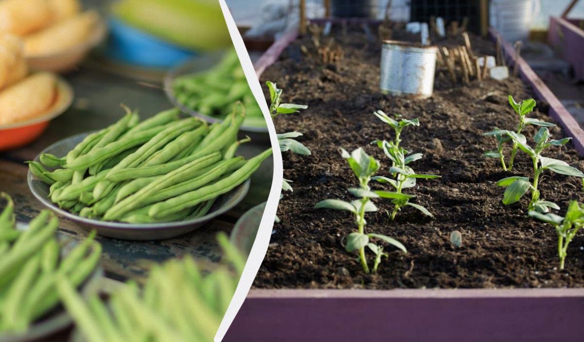 Фото новини