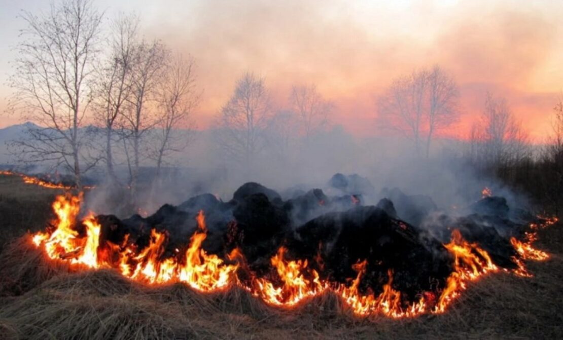 Фото новини