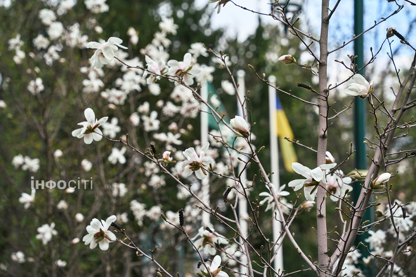 Фото новини