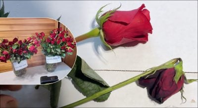 Фото новини