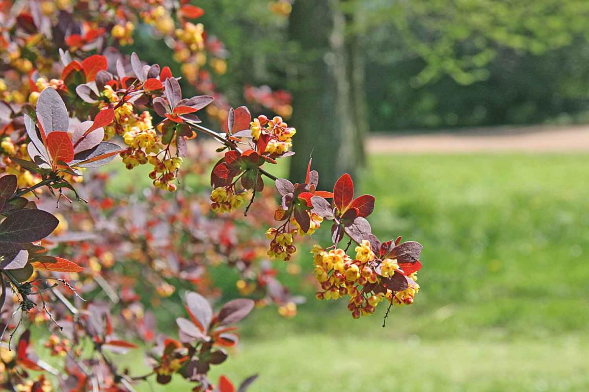 Фото новини