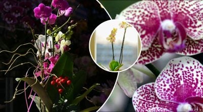 Фото новини