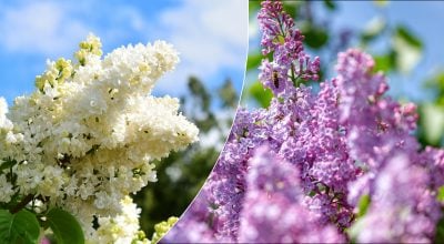 Фото новини