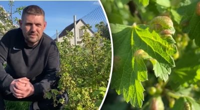 Фото новини