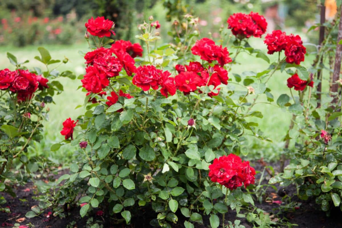 Фото новини