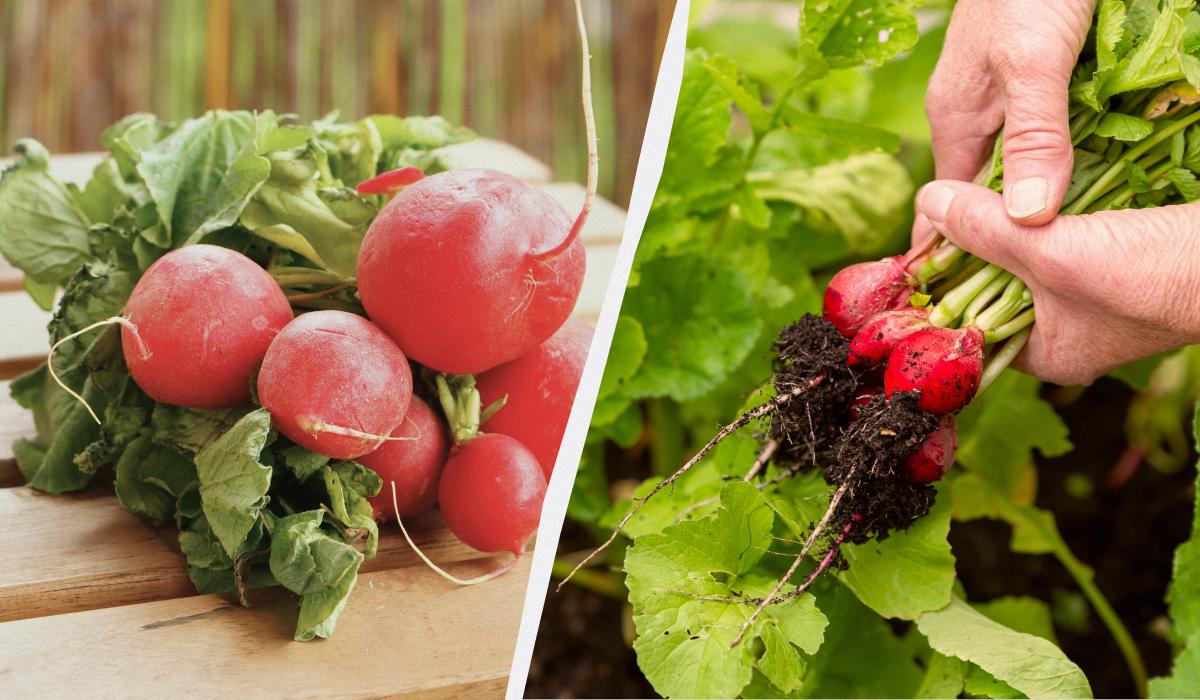 Фото новини