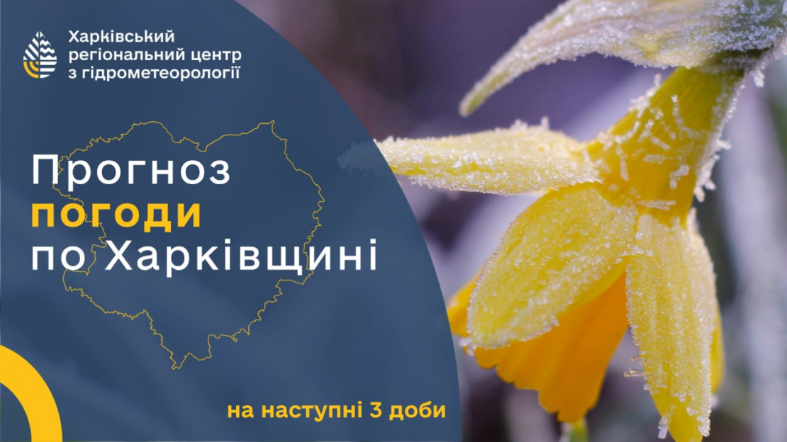 Фото новини