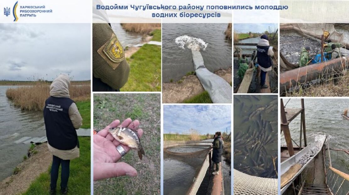 Фото новини