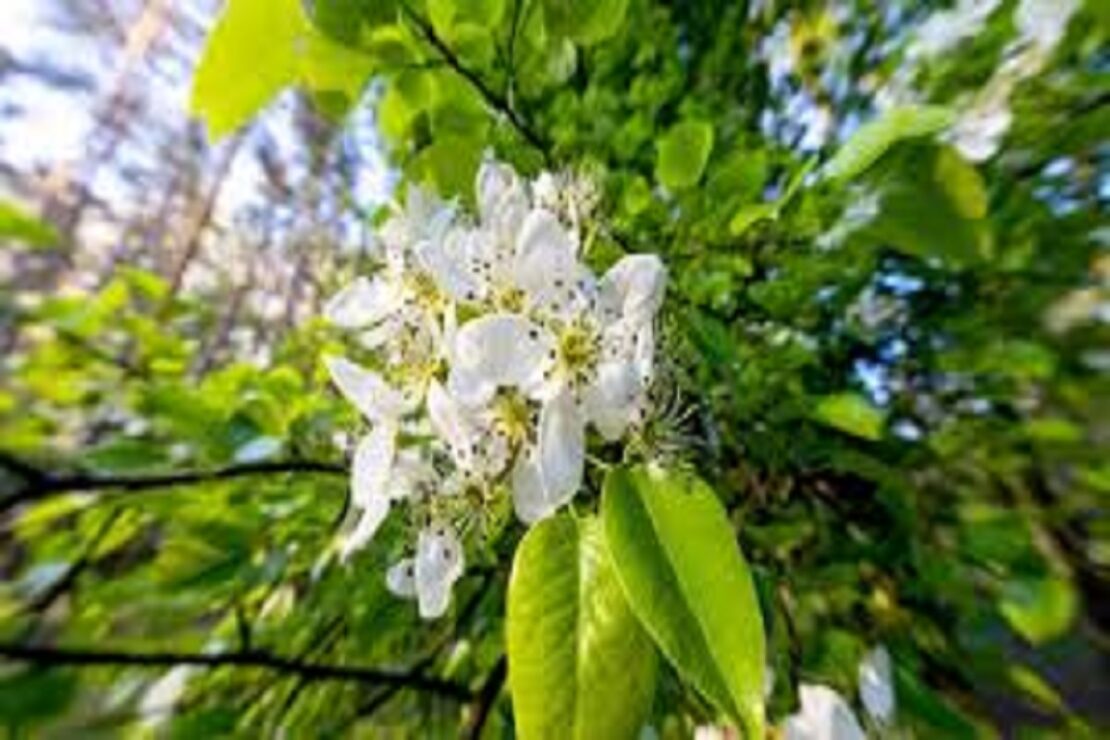 Фото новини