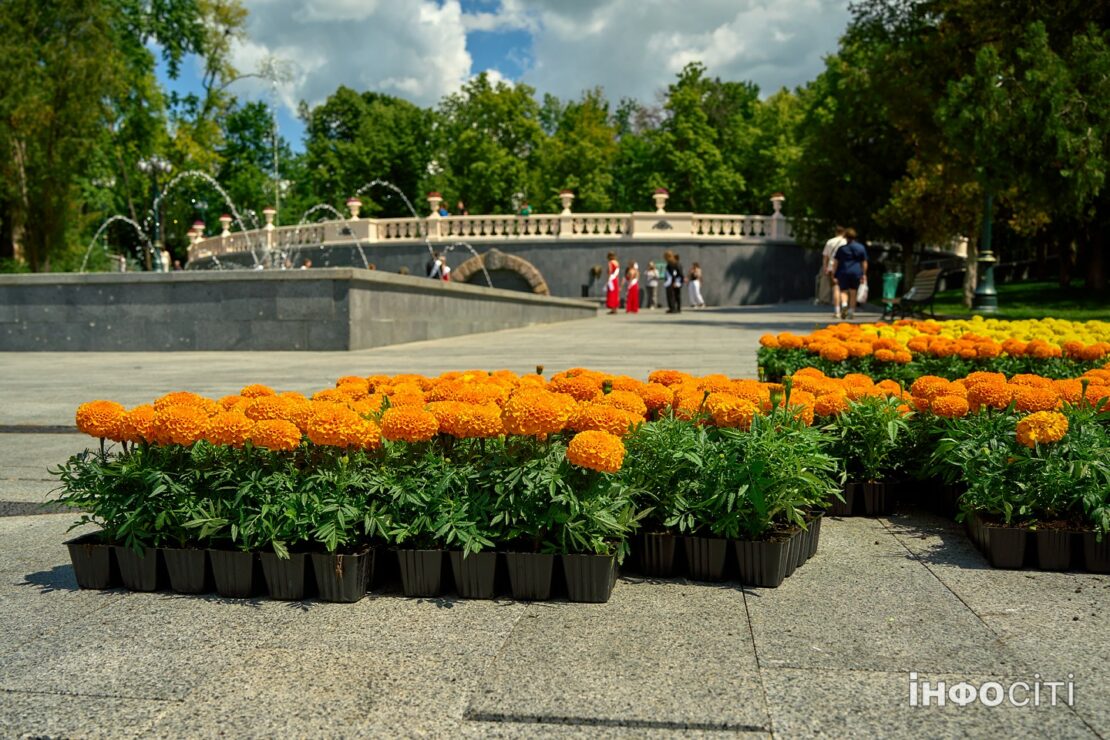 Фото новини
