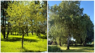 Фото новини