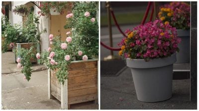 Фото новини