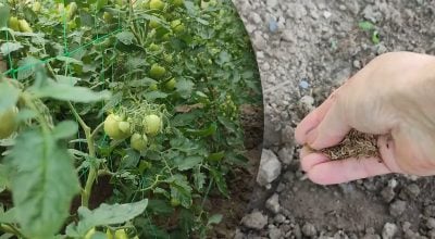 Фото новини