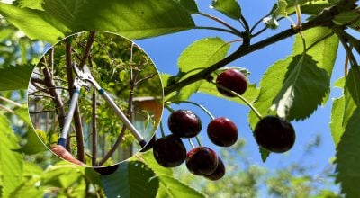 Фото новини